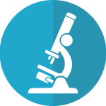 What are Research Peptides